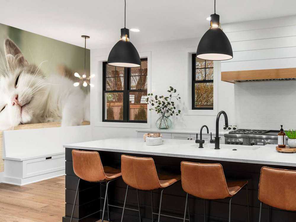 Close-up van een slapende kat