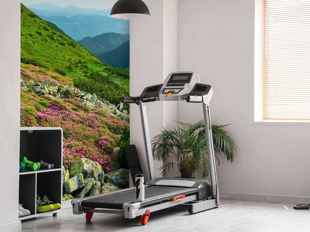 Rododendrons in de bergen