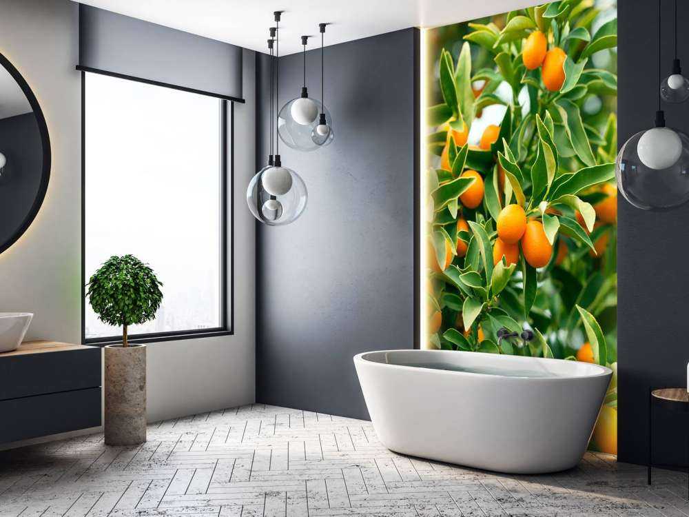 Fruitboom 