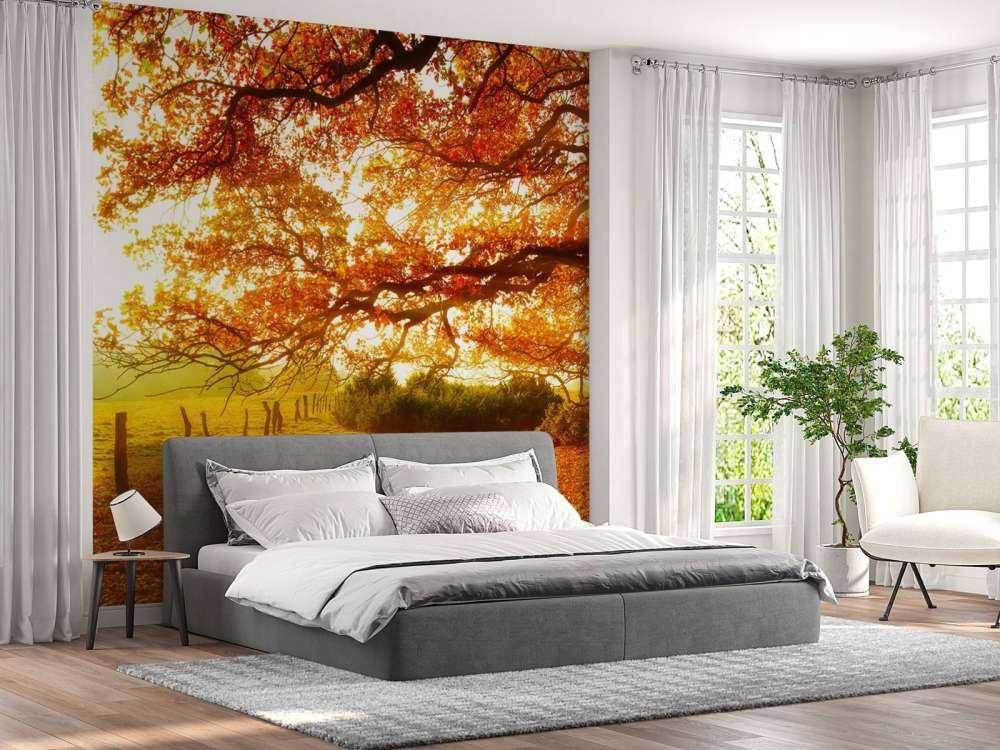 Herfstlandschap met bos en weide