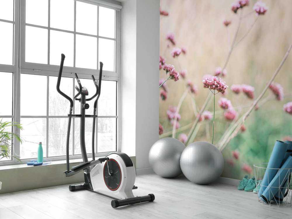 Soft pink meadow flowers