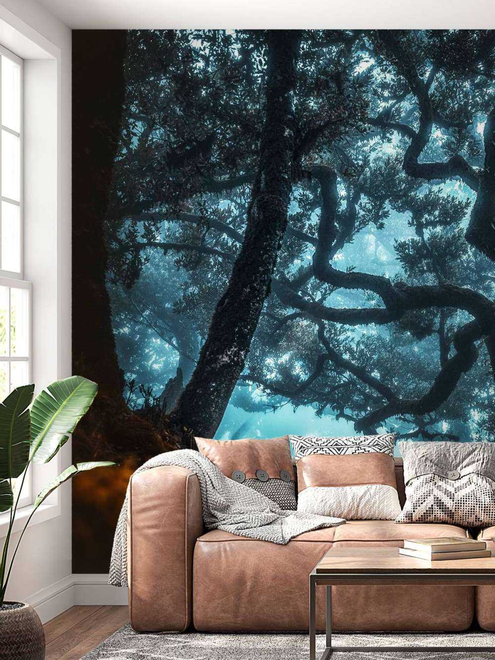 Mystiek silhouet in nevelwoud