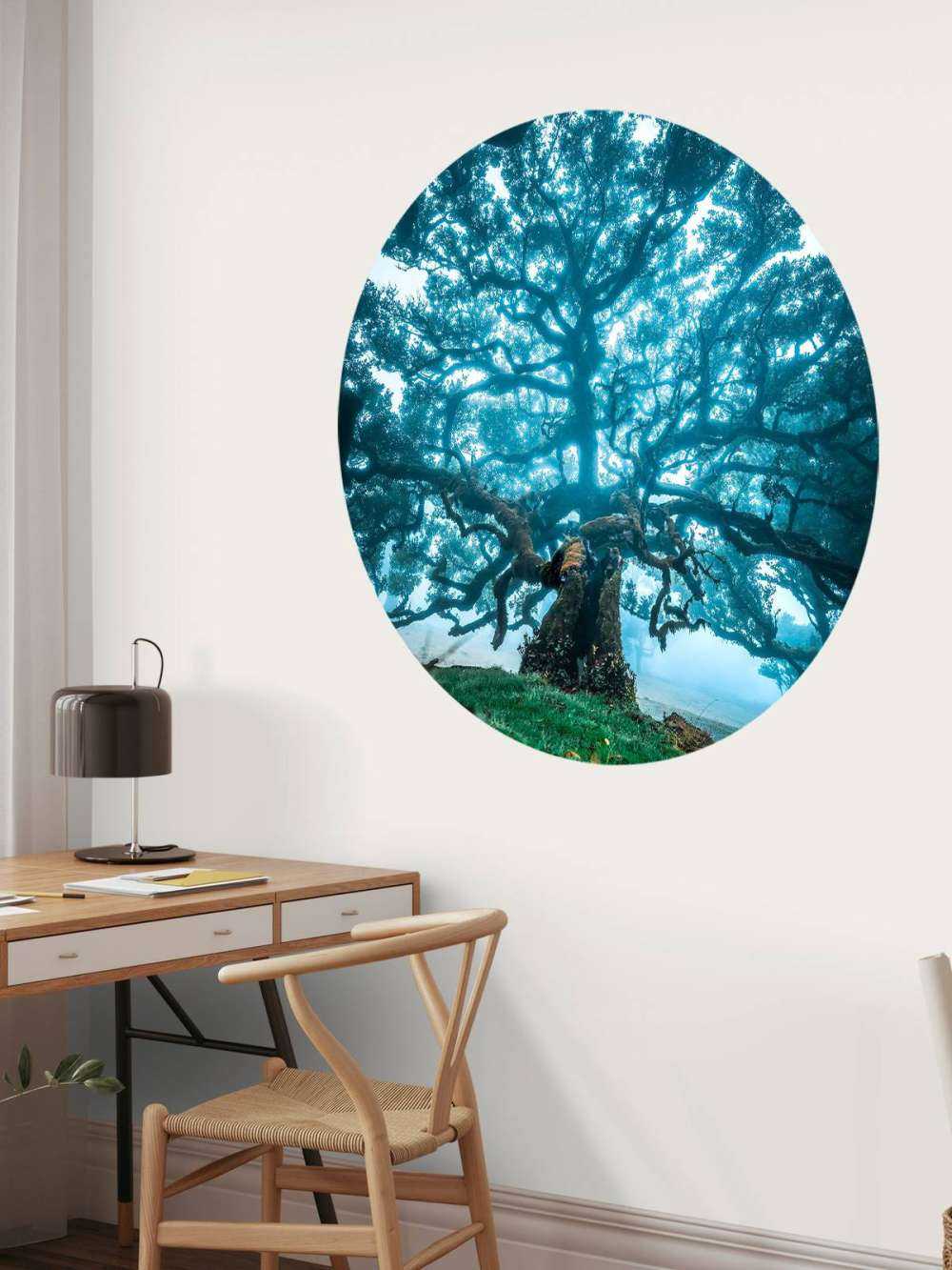 Oude eik in nevelwoud