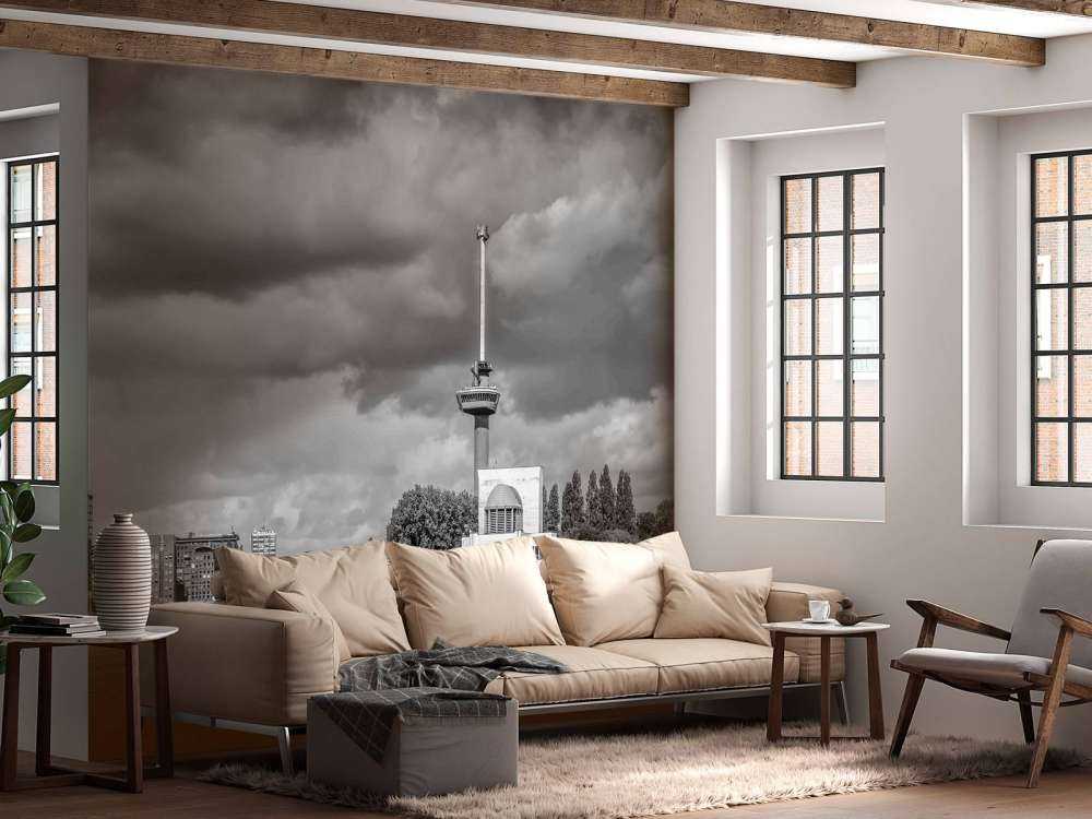 Euromast en Maas in Monochroom