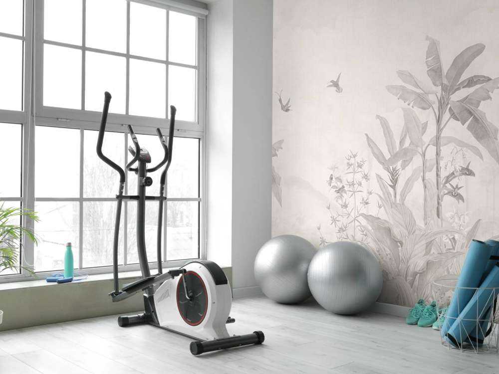 Tropische jungle met kolibries