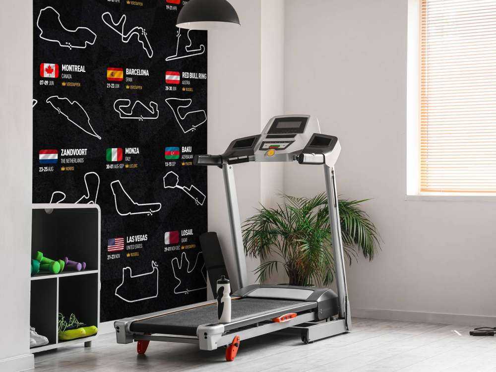 Formule 1 2024 - Winners map