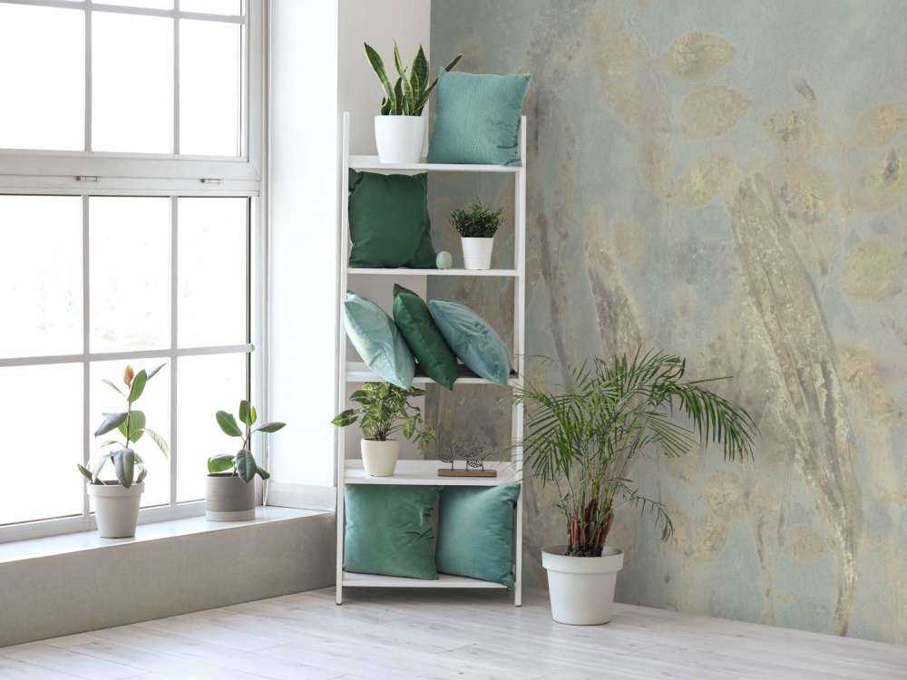 Schapenzuring en struikwilg - saliegroen