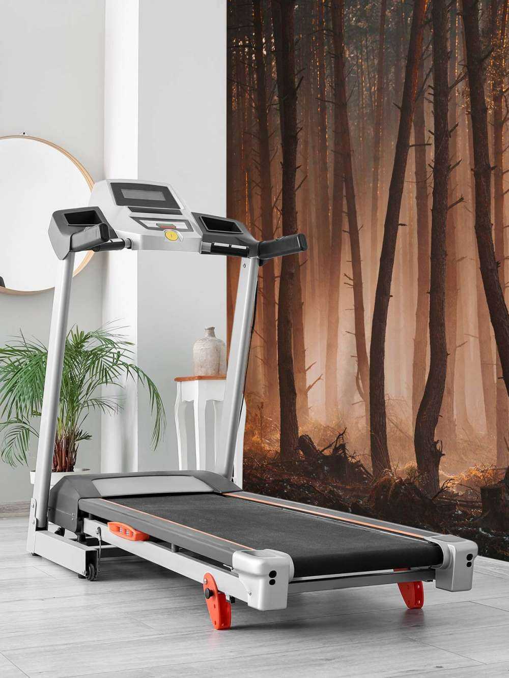 Lichtstralen door het Woud