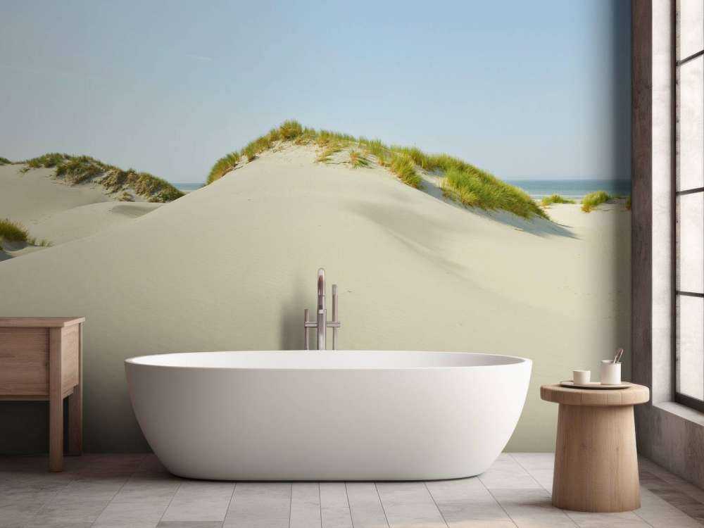 Duinen aan het strand