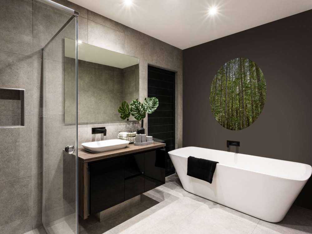 Dunne bomen in het bos