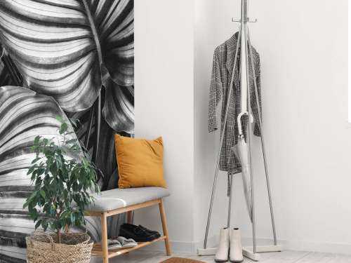 Plant met gestreepte bladeren