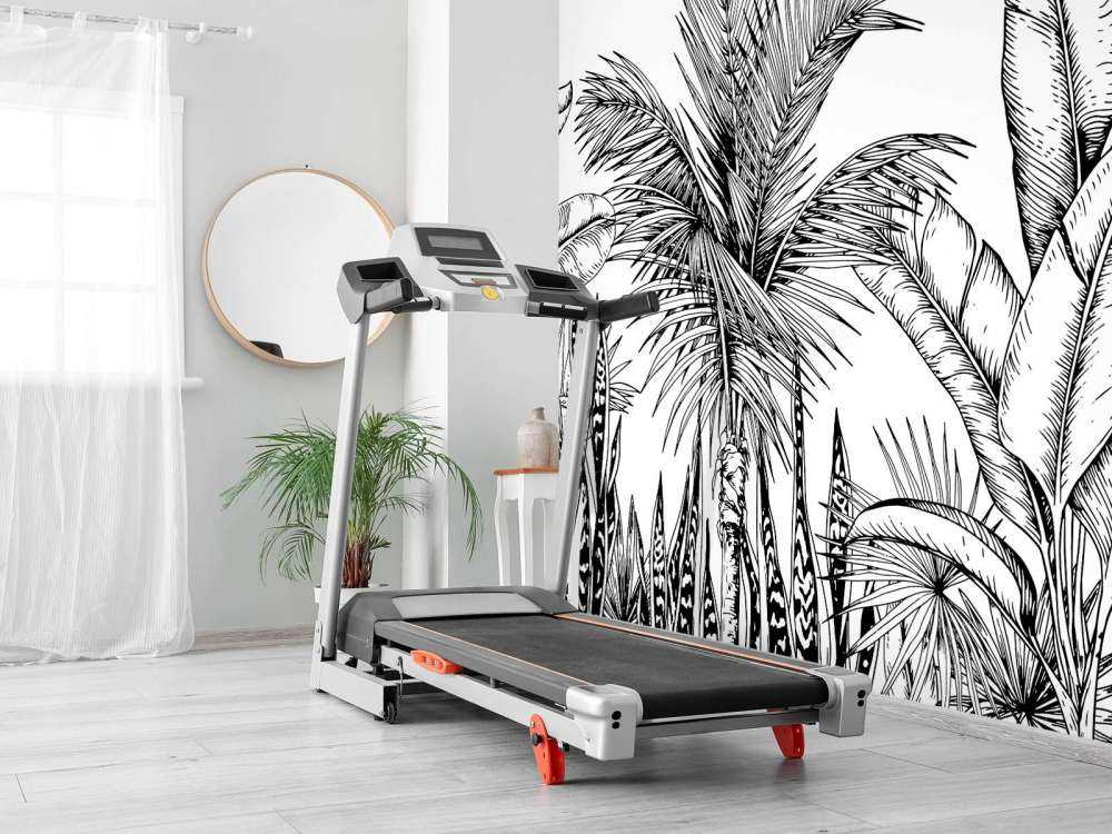 Tropische zwart-witte planten