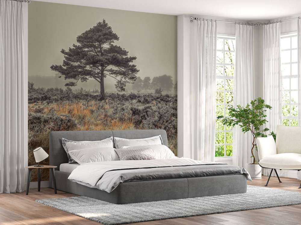 Boom op het platteland