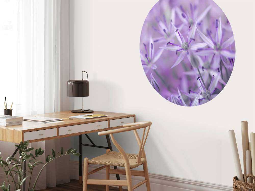 Paarse allium bloemen