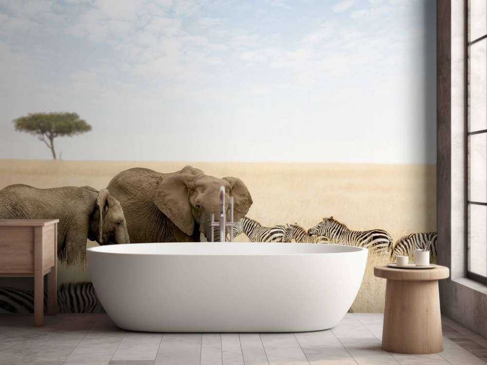 Olifanten en zebra's