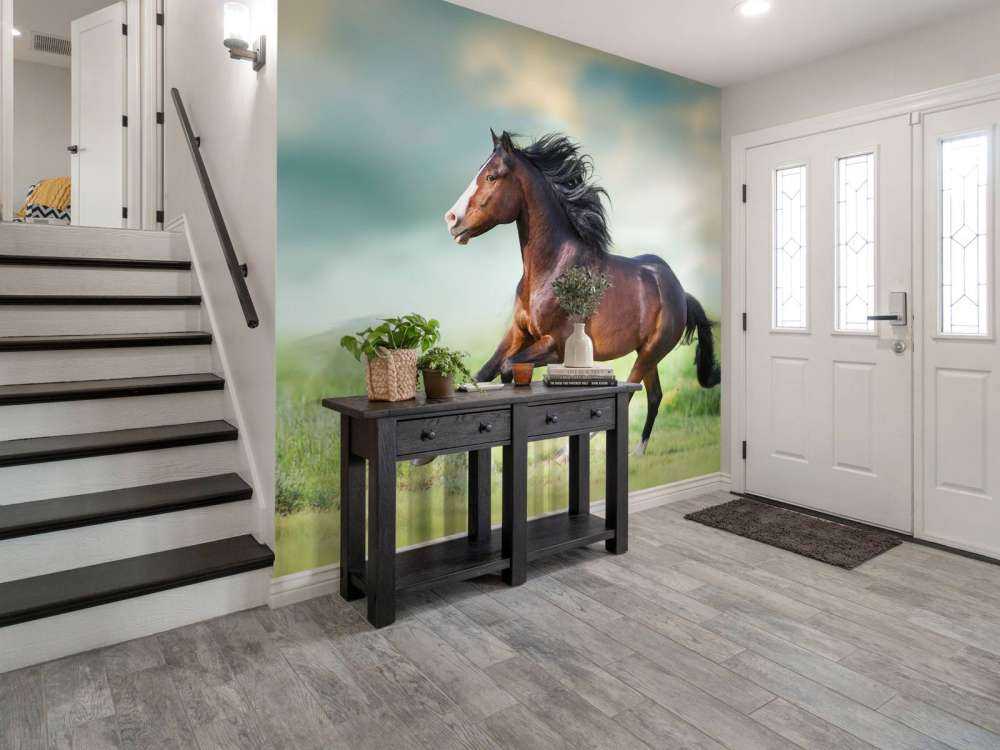 Paard aan het rennen