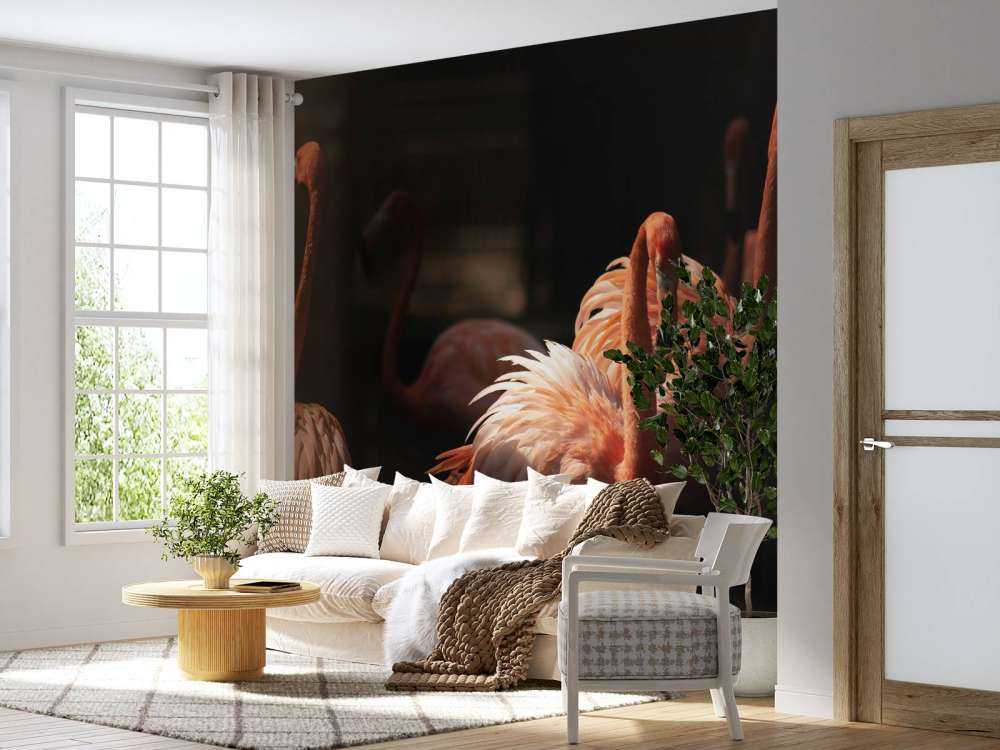 Flamingo's met een donkere achtergrond