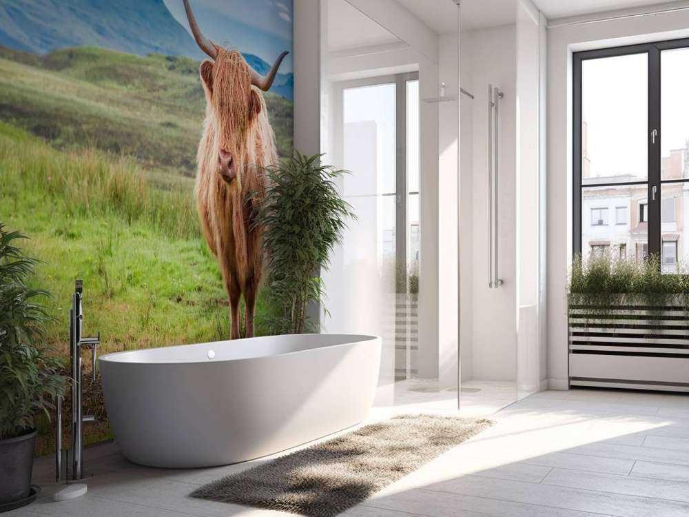 Schotse Hooglander in een berglandschap