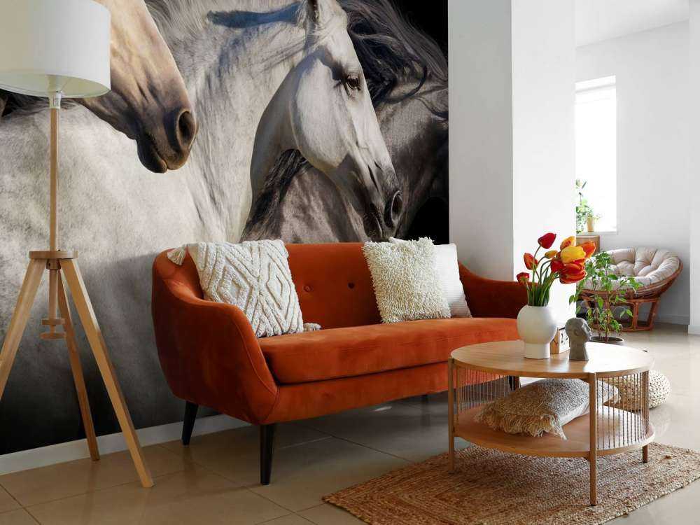 Drie paarden met een zwarte achtergrond