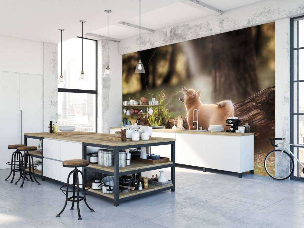 Shiba Inu in het bos