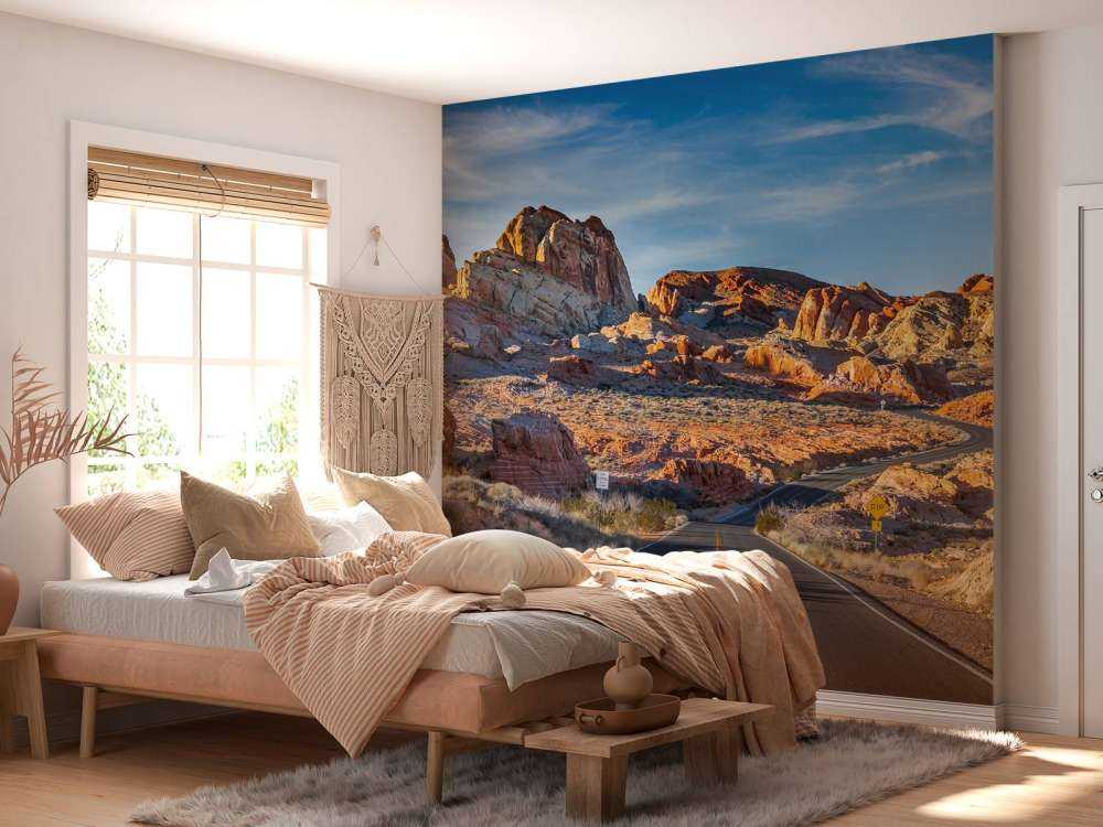 Weg door de Nevada woestijn