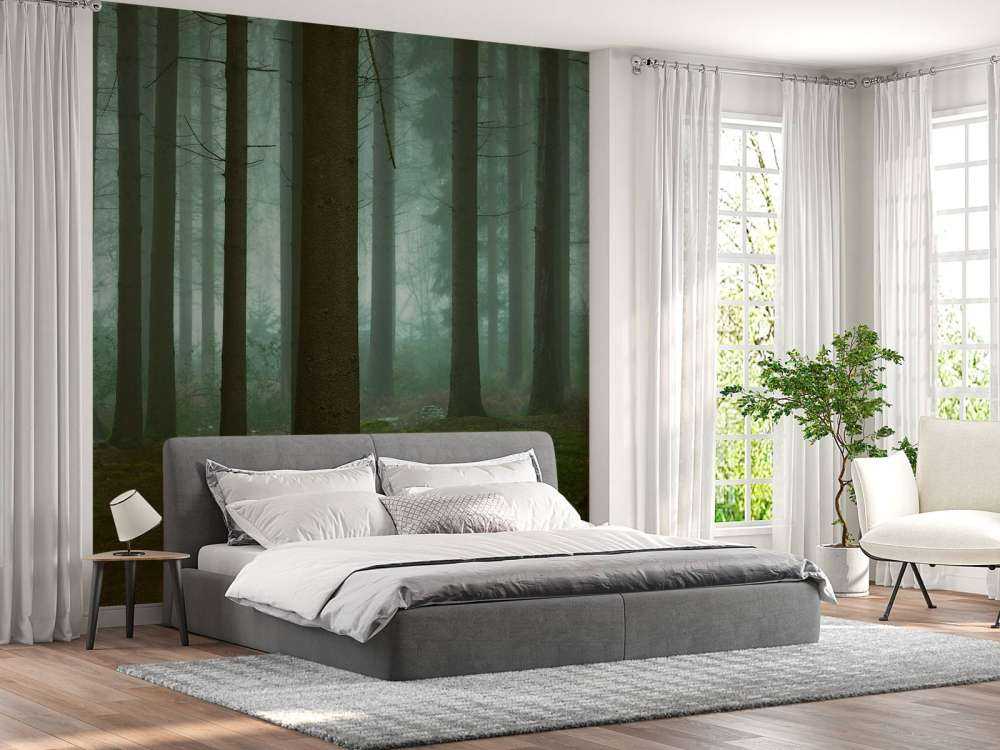 The Cold, Dark Days of Winter