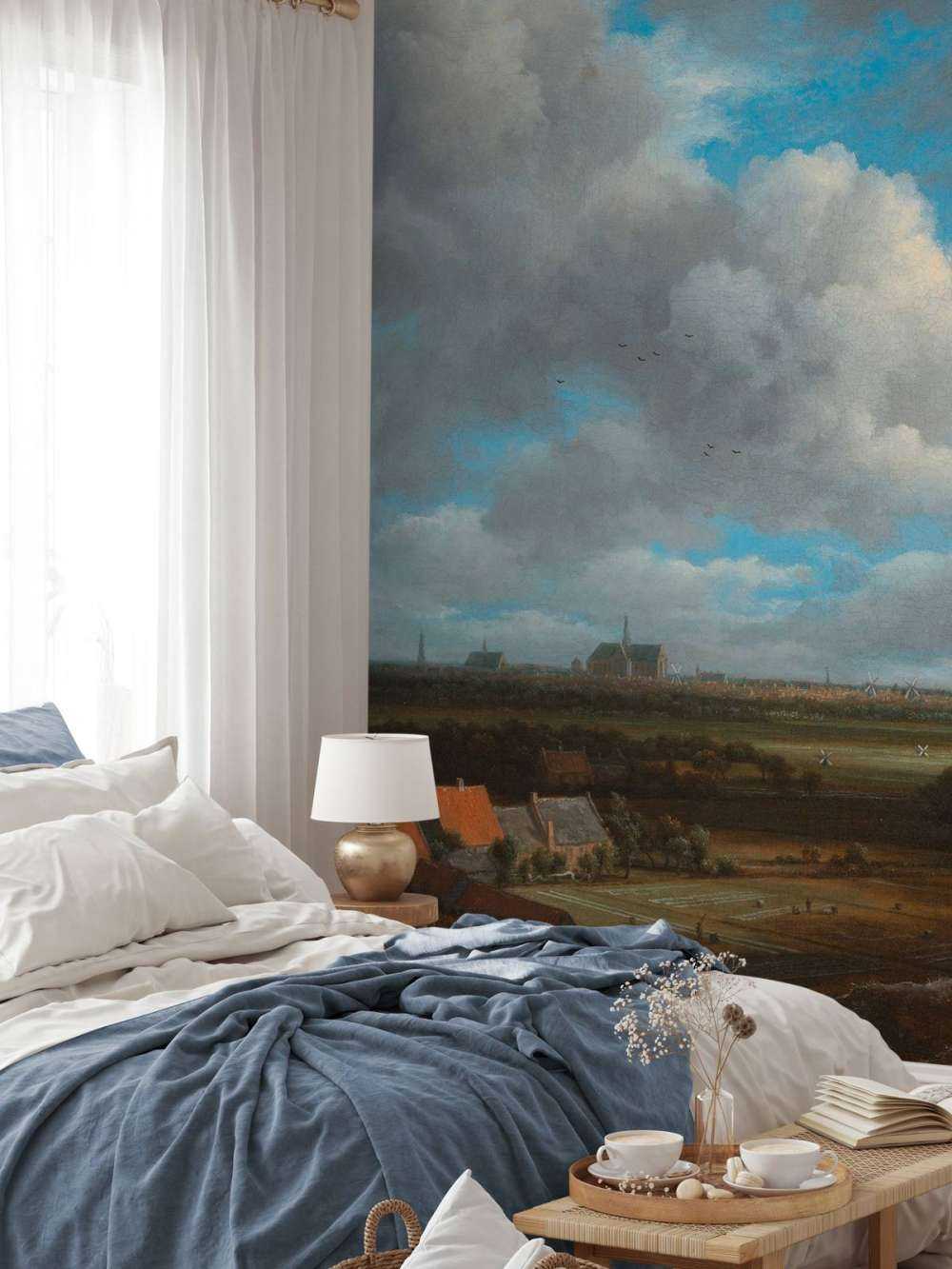 Gezicht op Haarlem uit het noordwesten