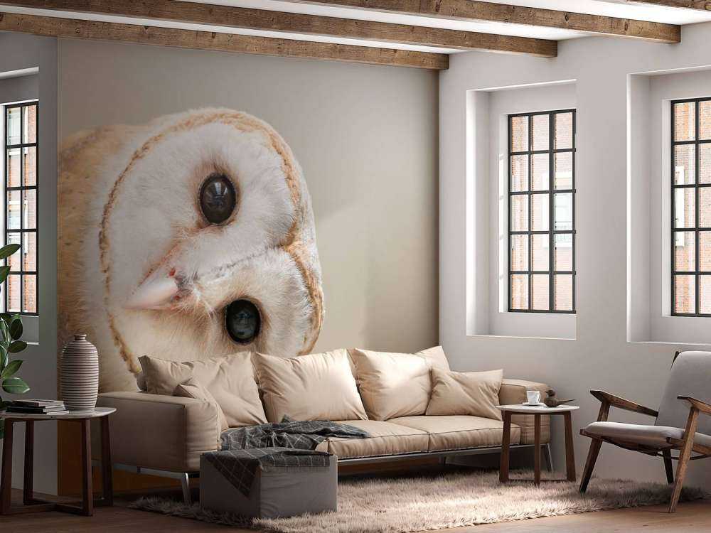 Uil met hoofd schuin