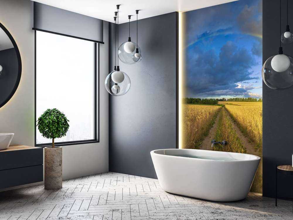 Regenboog over een graanveld