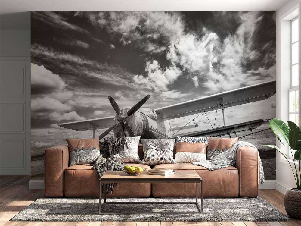 Vintage vliegtuig onder een bewolkte hemel