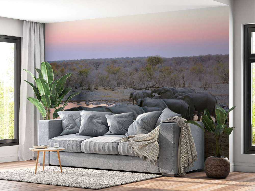 Olifanten langs het water