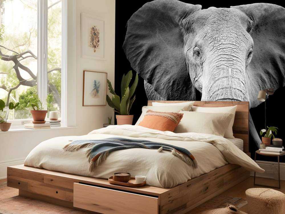 Olifant met een zwarte achtergrond