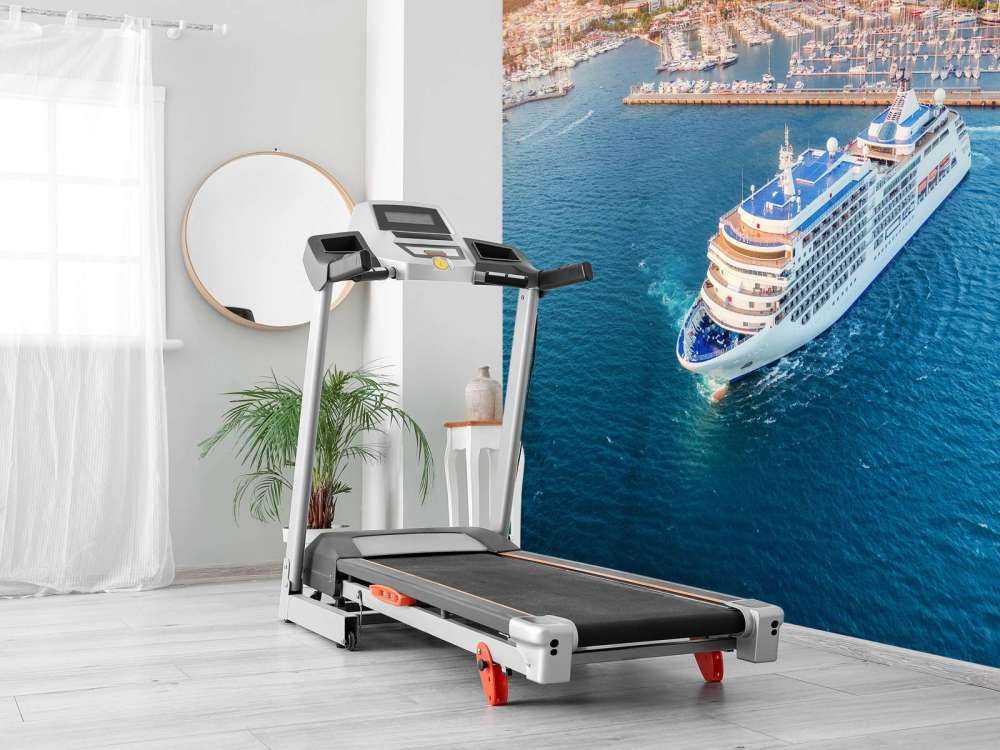 Cruiseschip in de haven