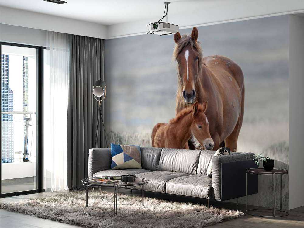 Wilde paarden