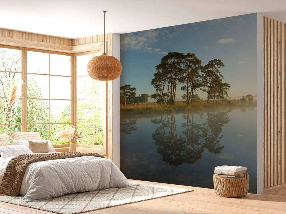 Weerspiegeling in heidegebied