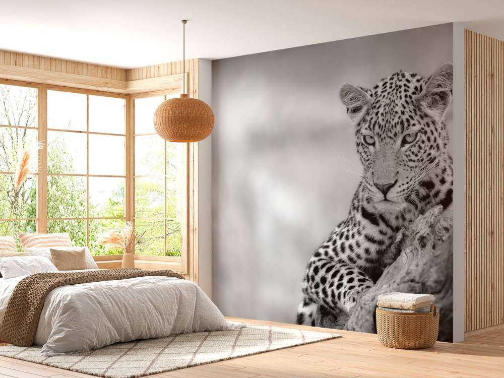 Luipaard zwart, wit