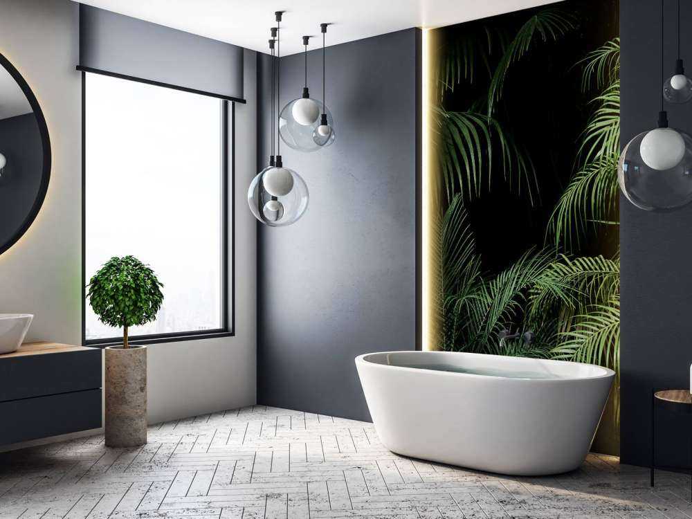 Plant met groene bladeren