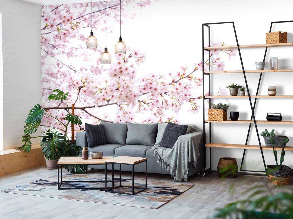 Roze bloesem takken