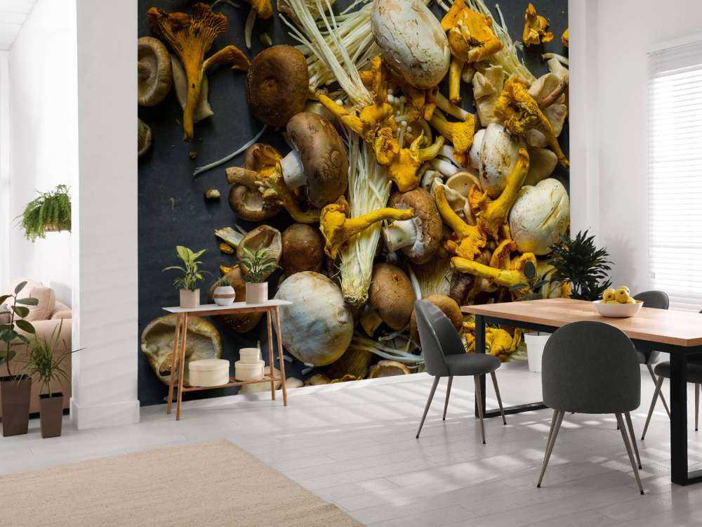 Verschillende paddestoelen