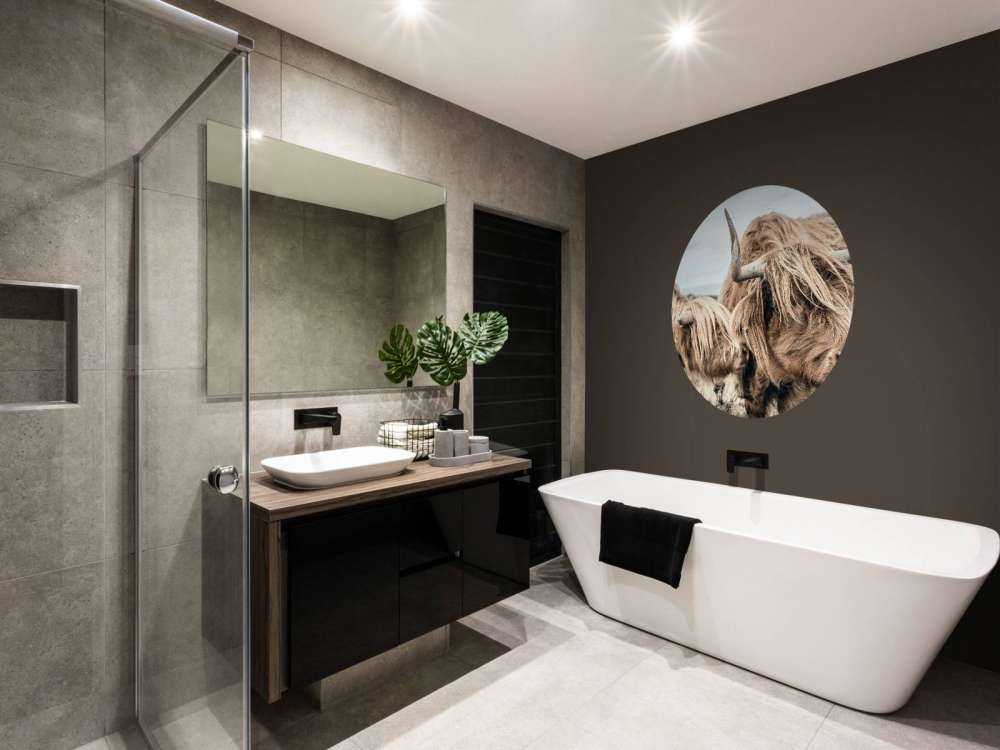 Twee Schotse hooglanders