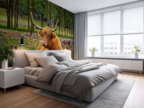Schotse hooglander tussen paarse heide