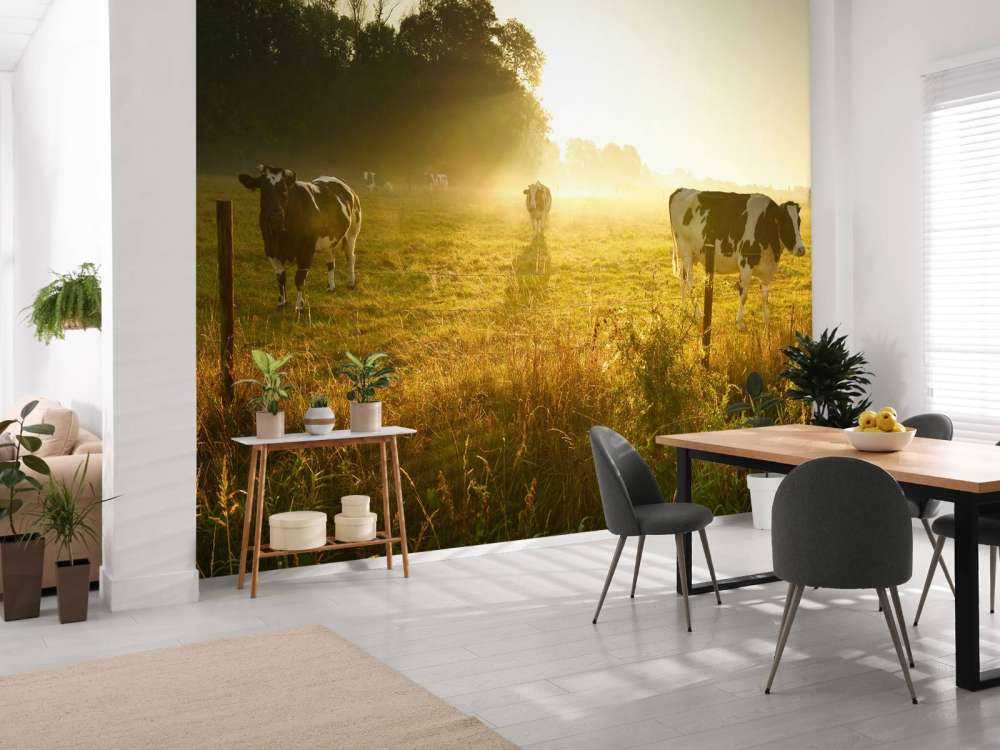 Koe tijdens zonsopkomst