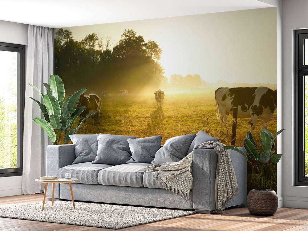 Koe tijdens zonsopkomst