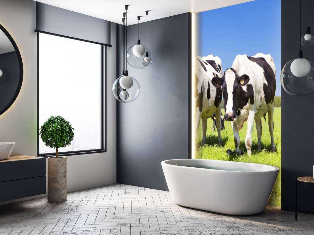 Fotobehang koeien