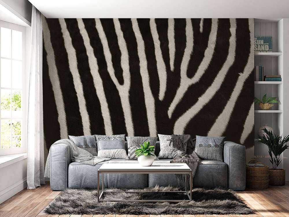 Zebra vacht