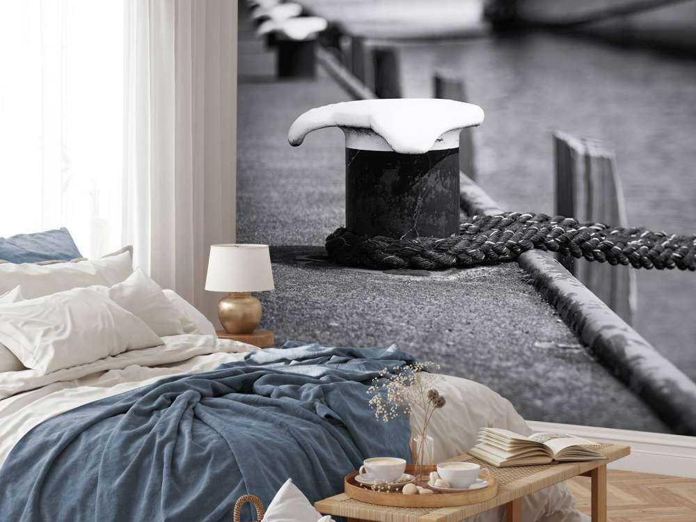 Aangemeerd passagiersschip  