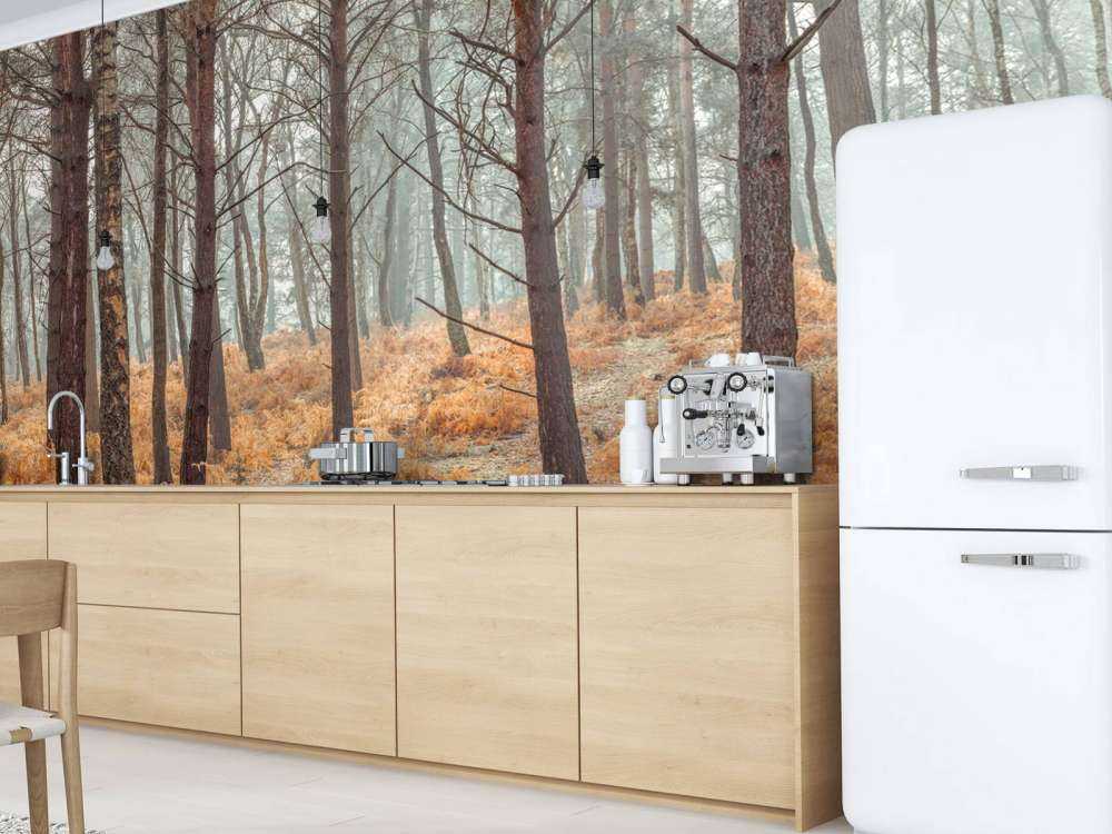 Bos tijdens de herfst