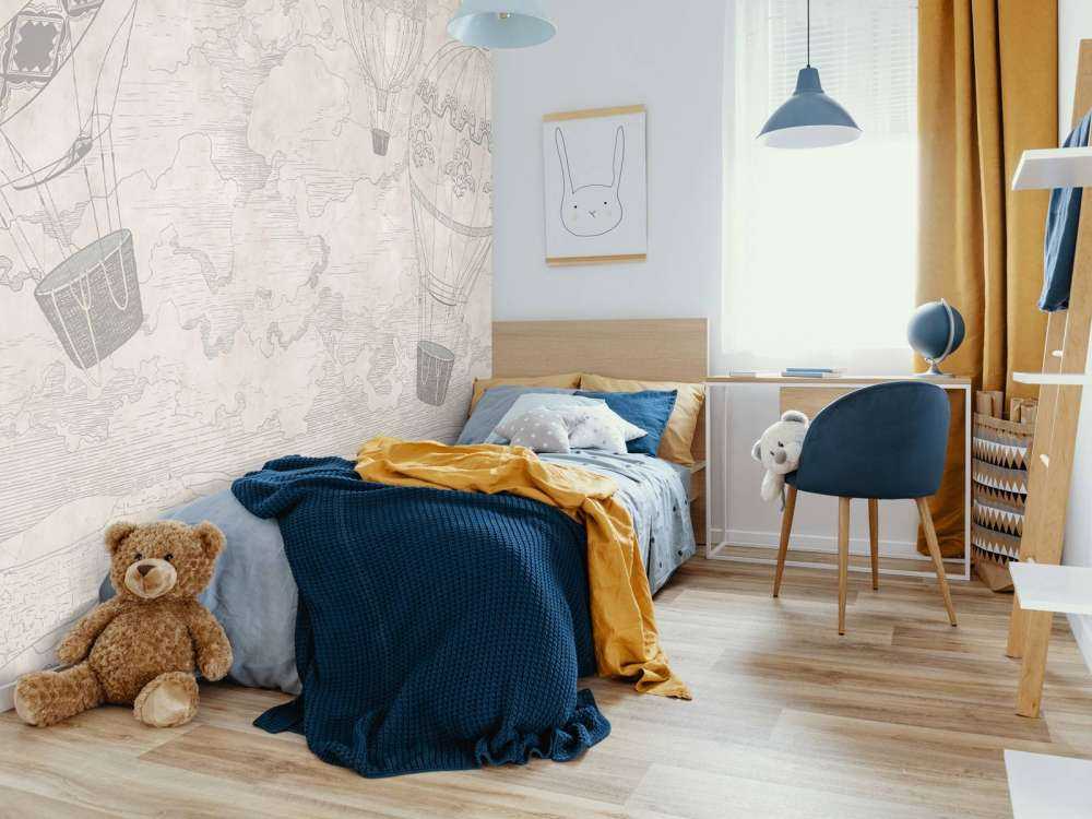 Luchtballonnen met een uitzicht