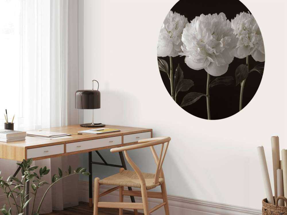 Drie witte pioenrozen