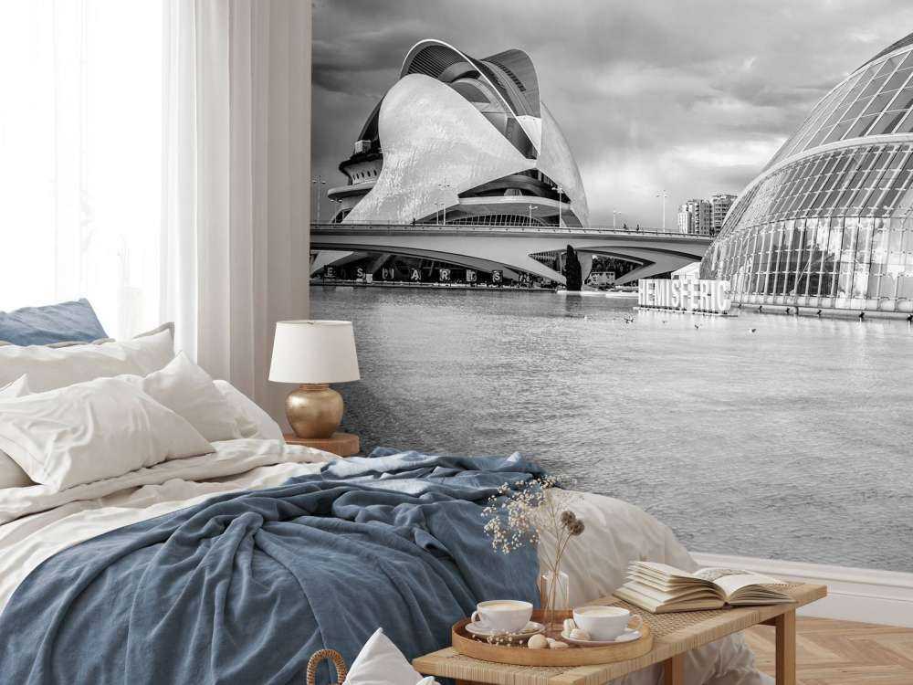 Operagebouw - Palau de les arts Reina Sofia & Hemisfèric - Valencia